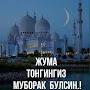 @otabekmirzapazilov891