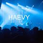 @TomHaevy