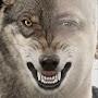 @lonewolf7475