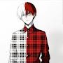 Todoroki Shoto