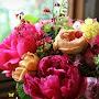 @زهورالأمل-ز7ض