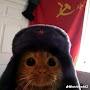 gato sovietico