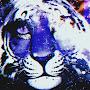 @remixedcat