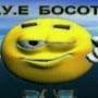 @egorkiselev2282