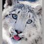 @Atmos12345