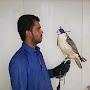 @AbdulRasheed-gf6og