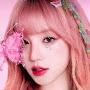 @YanTing-y6r
