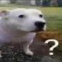 @john2698
