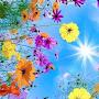 @ayahusseinshehata2122
