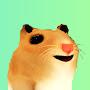 @MrHamster2055