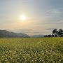 @행복한모찌