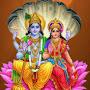 @swapnareddy1728