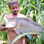 Sri Lankan Fishing