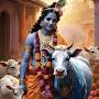 @4z_rishu_yadav