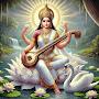 @subhajitghosh4482