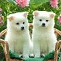 @Aaaaa_kkkk