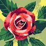 @loulouacnl1512