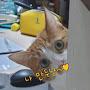 @user-manduworld-m9e