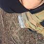 @rockcityprepper9134