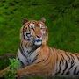 @Imrajdeep_095teamo