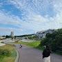 @김선향-e1z