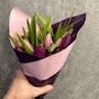 @ah3llis