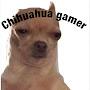 @Chihuahua-gamer.
