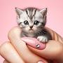Adorable Tiny Cat