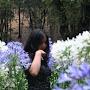 @gabrielalopezflores1483