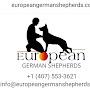 @EuropeanGermanShepherdscom