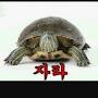@rkdpf06181