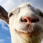 @TheGoatsy