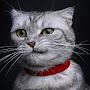 @nikosnikosov3035
