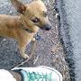 @JoseGarcia-eadgbe