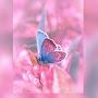@starsaligned888