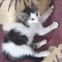 @nossairelkatouri3906