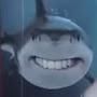 @Robero21
