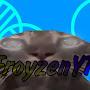 FroyzenYT 