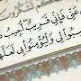 @SAMER-y1l
