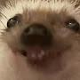 @Tzzzzzlol