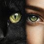 @roula7576