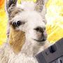 LazyLlama