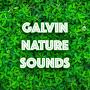 Galvin - Nature Sounds