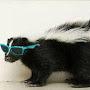 @skunka1500