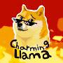 CharmingLlama41