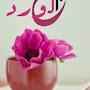 @rukayanasser3244