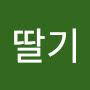 @딸기-v2e
