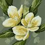@Fannin7