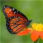 @hamedkazemi7660