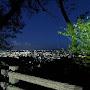 @love-mb8if